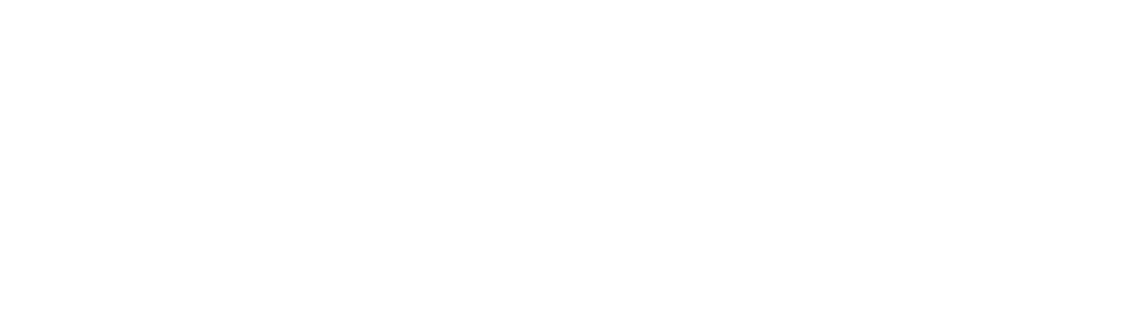 Lacy Bird Academy