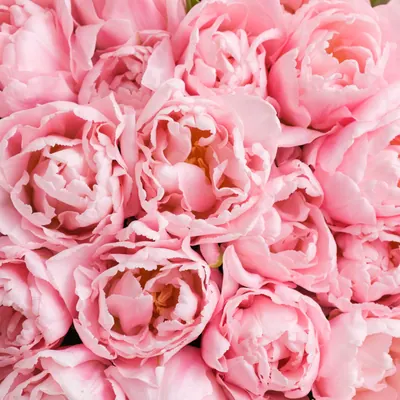 Just sell flowers in cellophane