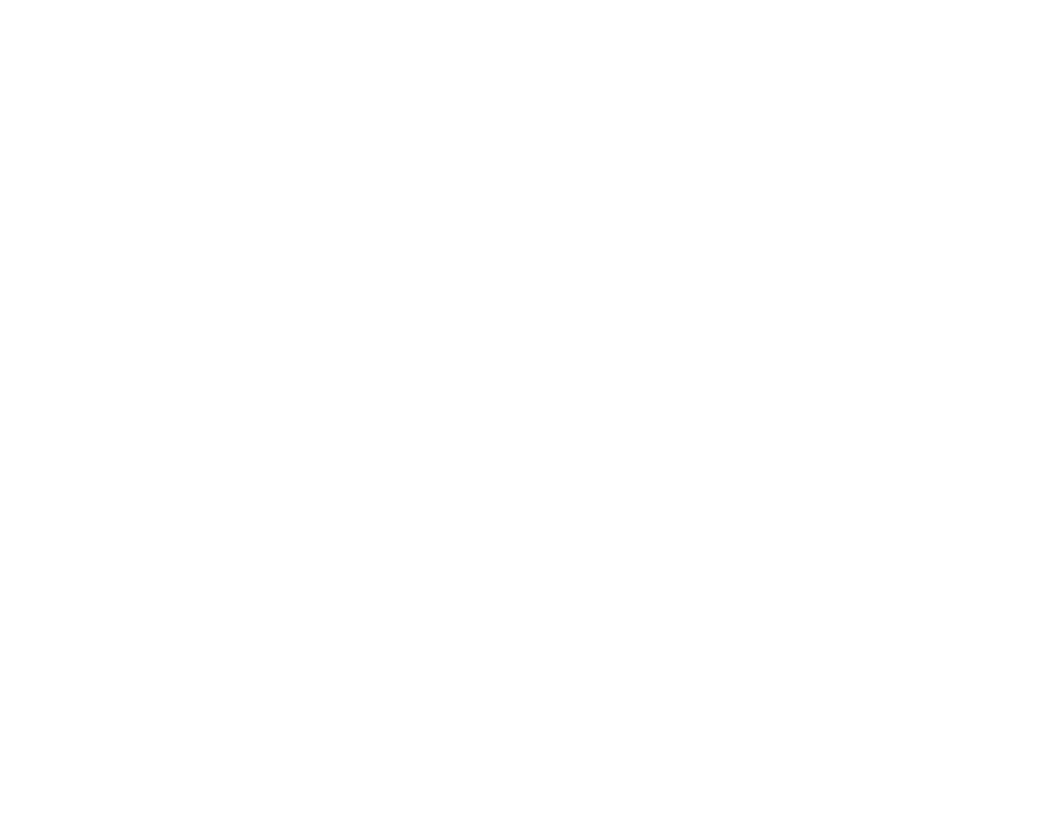 Lacy Bird Academy