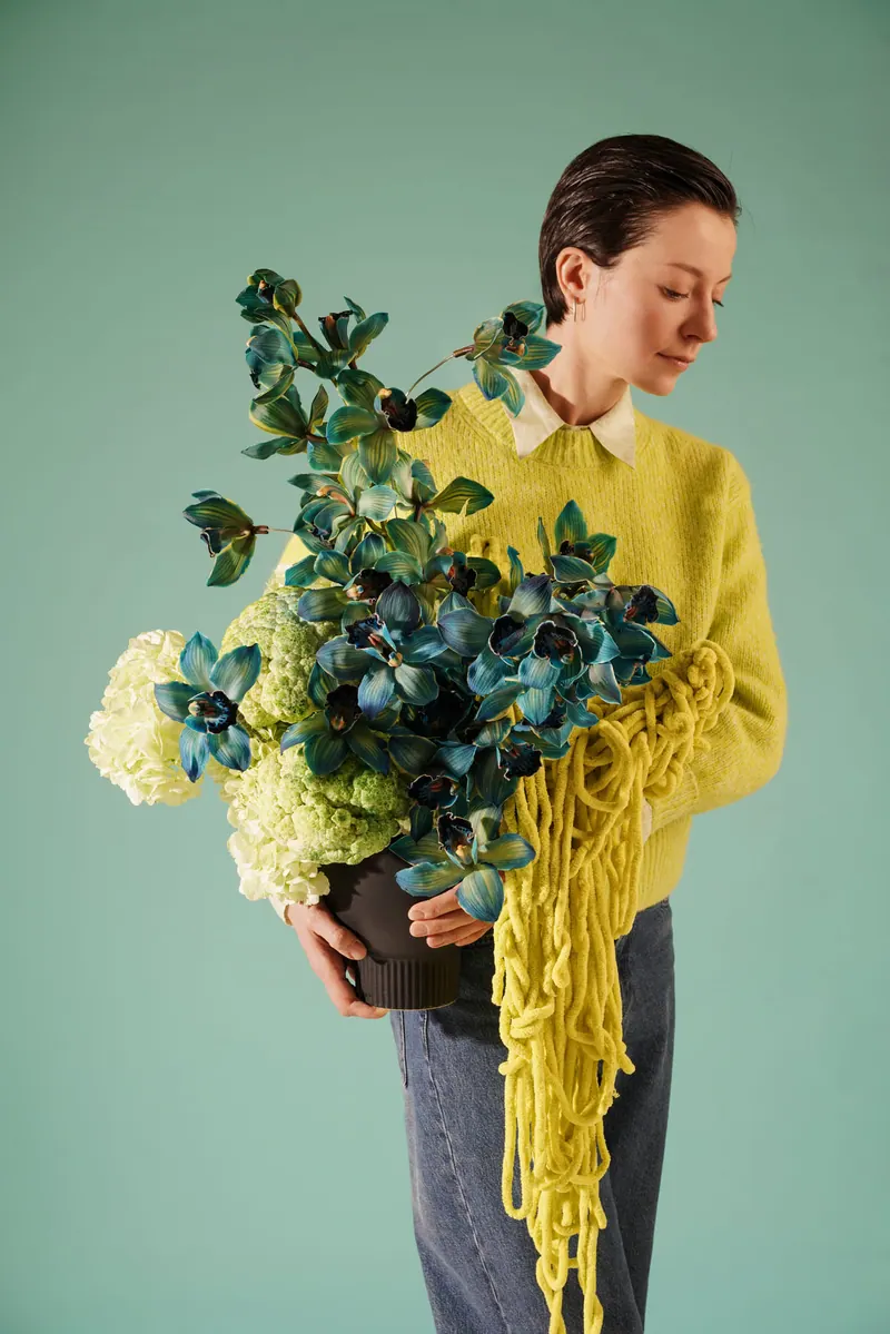Lacy Bird studio archive