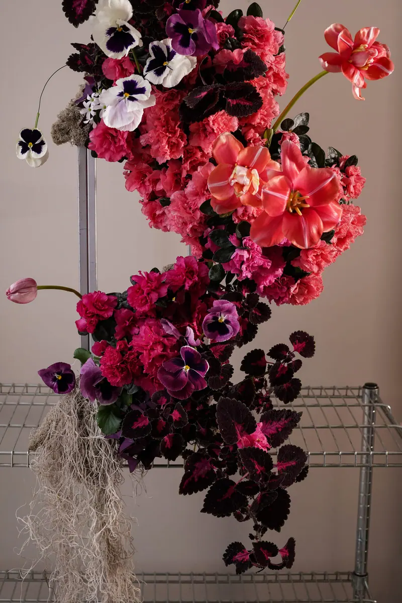 Lacy Bird studio archive