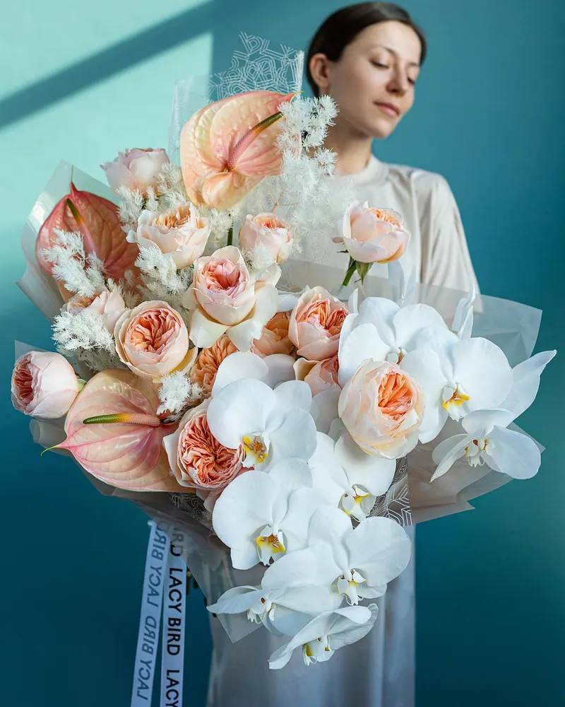 Lacy Bird studio archive