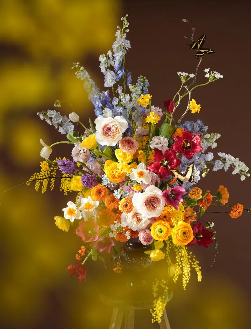 Lacy Bird studio archive
